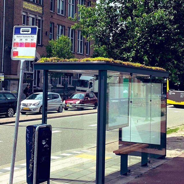 Как автобусные остановки в Нидерландах помогают спасти пчел (4 фото)