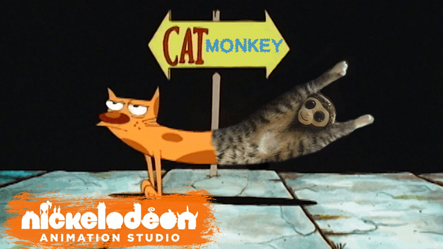 Кот и игрушечная обезьянка запустили новый масштабный фотошоп-батл в соцсетях (12 фото)