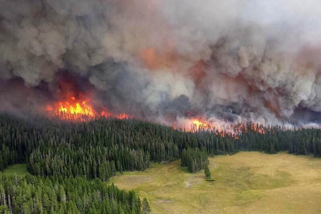 Сибирь в огне: пожар охватил 3 млн гектаров (8 фото +2 видео)