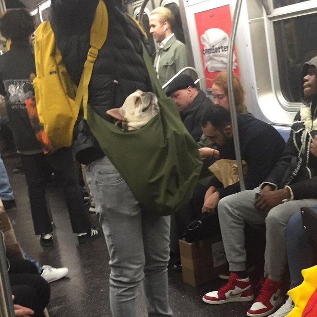 Чего только не увидишь в метро (17 фото)