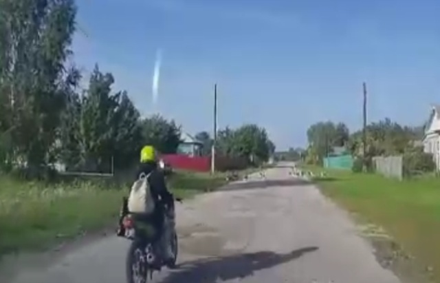 Гуси на дороге и сельская мотоциклистка