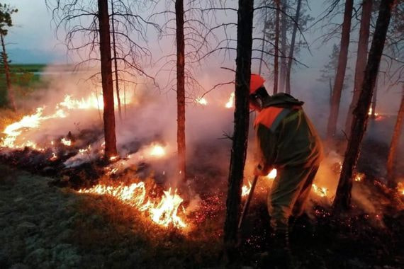 "Фантастические результаты" тушения пожаров в Сибири, и почему экологи им не верят (5 фото)