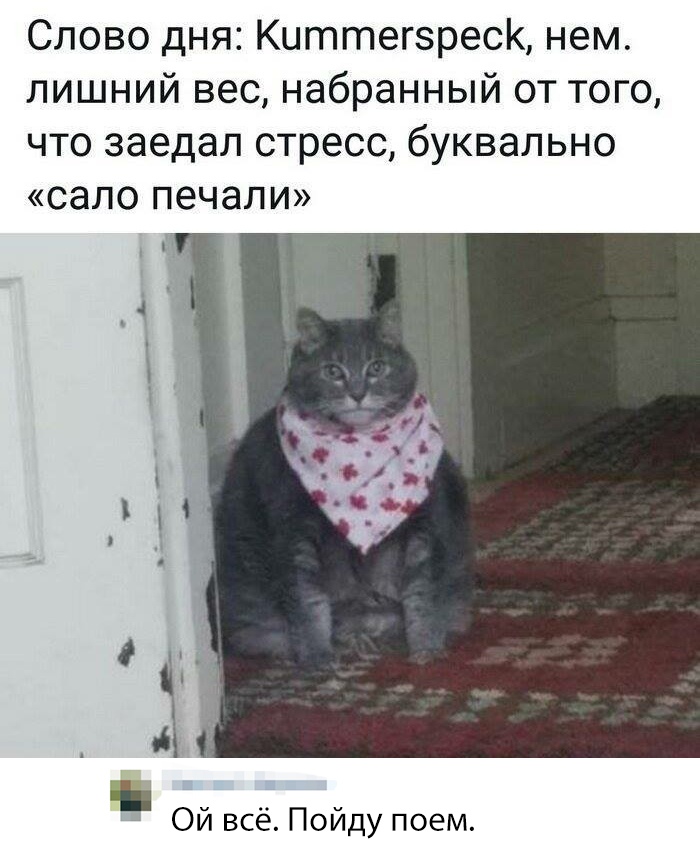 Подборка картинок. Вечерний выпуск (30 фото)