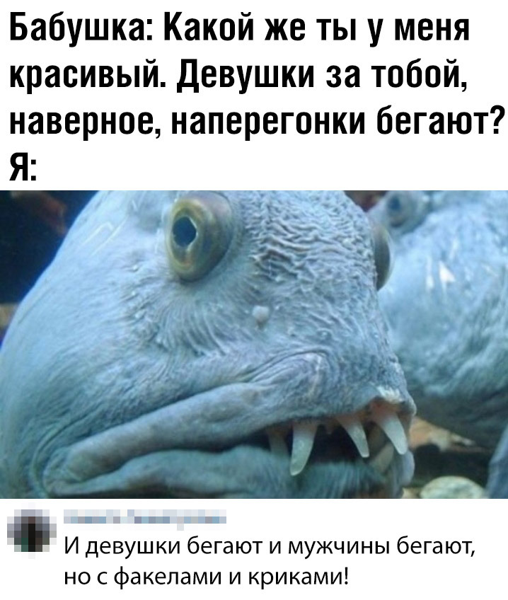 Подборка картинок. Дневной выпуск (30 фото)