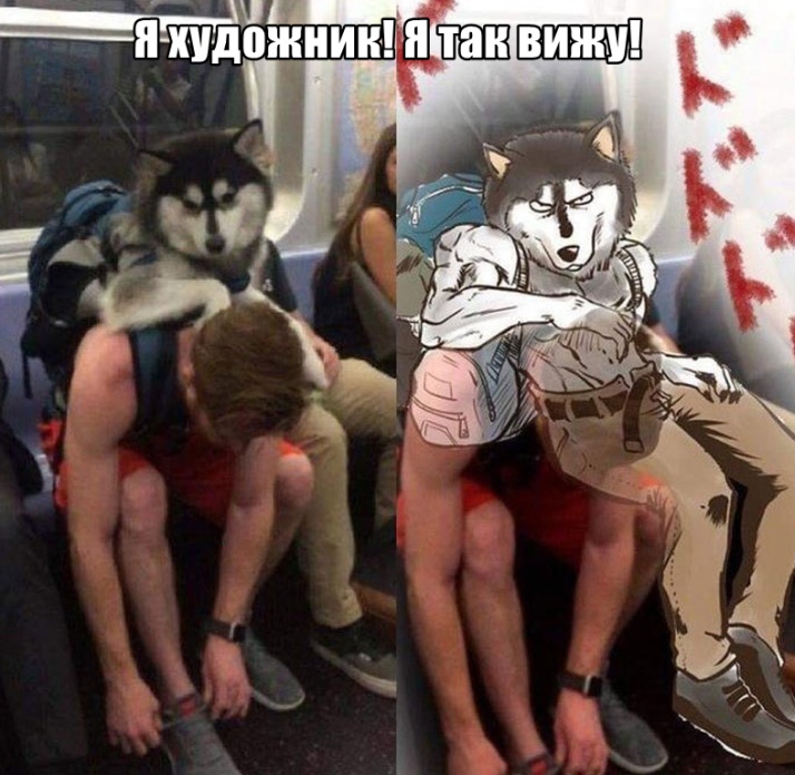 Подборка картинок. Дневной выпуск (30 фото)