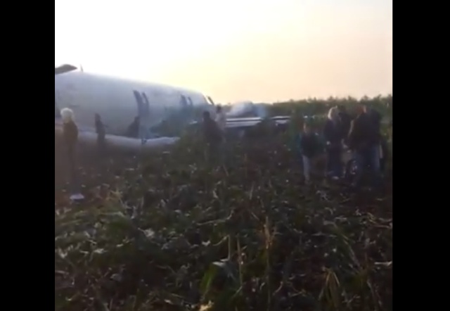 Самолет Airbus A-321 "Уральских авиалиний" совершил экстренную посадку в поле в Подмосковье (5 видео + 5 фото)