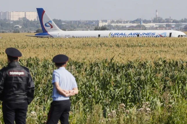 Самолет Airbus A-321 "Уральских авиалиний" совершил экстренную посадку в поле в Подмосковье (5 видео + 5 фото)