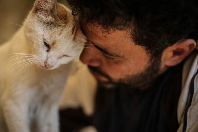 Сириец отказался от эвакуации, чтобы спасти брошенных кошек (18 фото)
