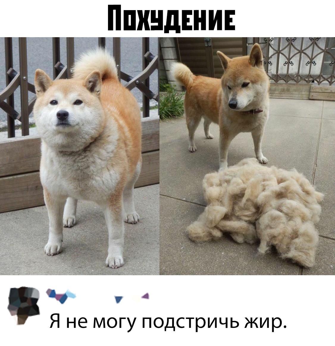Подборка картинок. Дневной выпуск (30 фото)