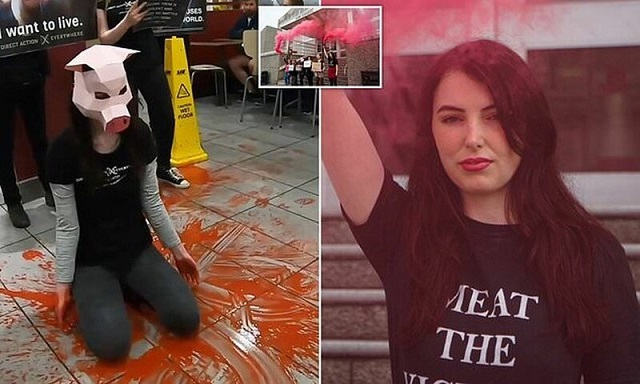 Британские веган-активистки залили пол в McDonald's кровью и теперь ждут суда (2 фото + видео)