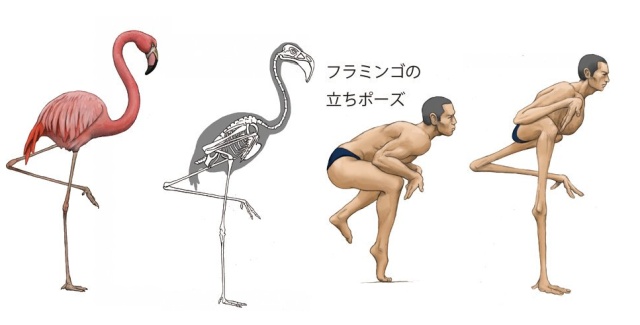 Фантазия японского художника: что было бы, если человек будет похож на животное? (16 фото)