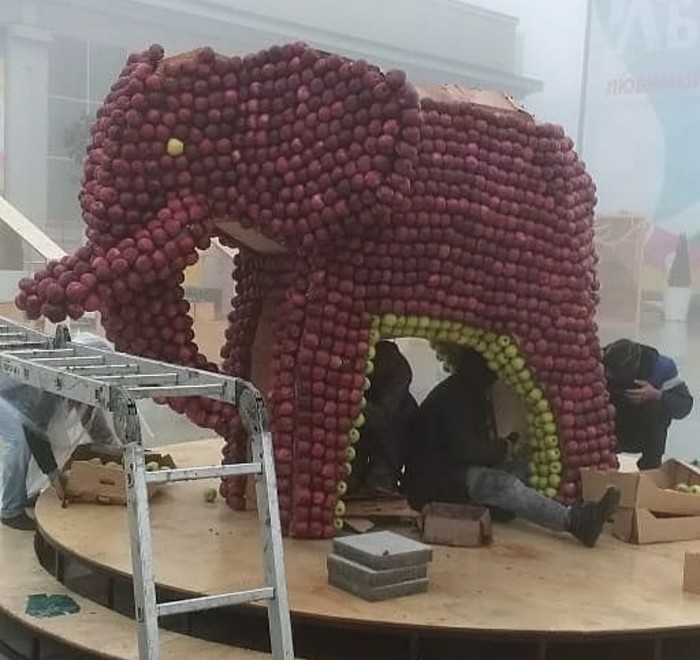 Жители Ставрополя разграбили слона из яблок. Его установили ко Дню города (8 фото)