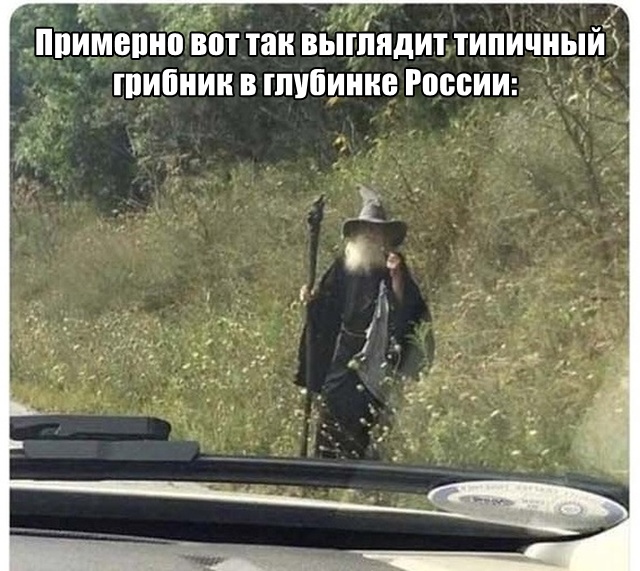 Подборка картинок. Дневной выпуск (30 фото)