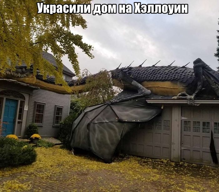 Подборка картинок. Дневной выпуск (30 фото)