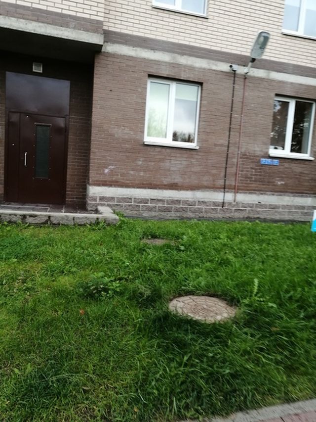 В Питере бдительный прохожий заметил "запрещенную" символику в окне и вызвал полицию (3 фото)