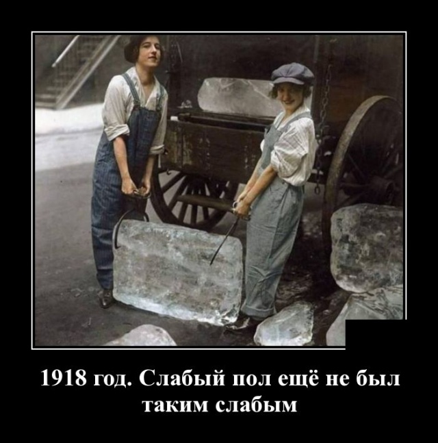 Демотиваторы (20 фото)