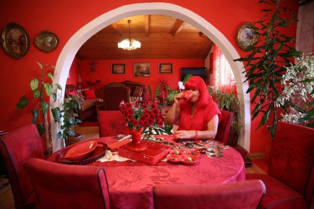 Зорица Реберник - "женщина в красном" из Боснии (10 фото)
