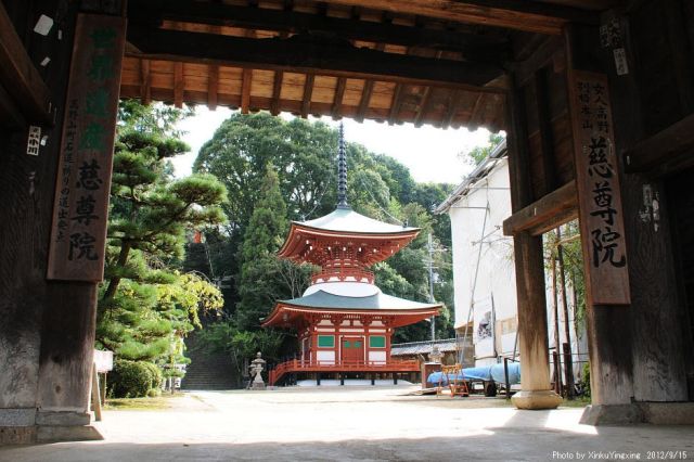 Дзисон-ин - японский храм, посвященный женскому бюсту (8 фото)