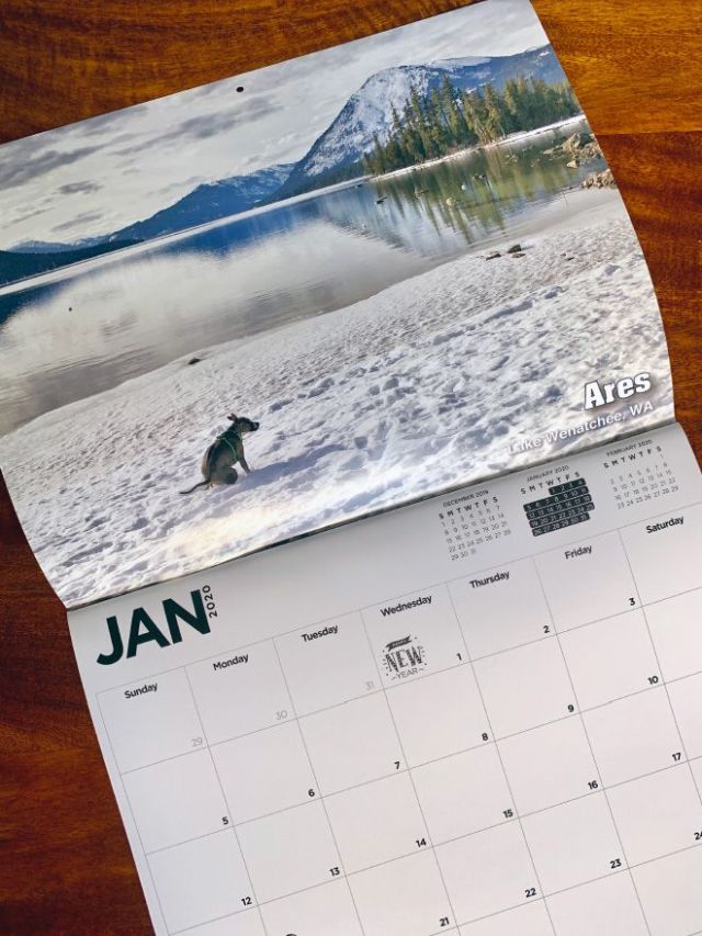 Самый странный календарь с собаками, продающийся на Гавайских островах (10 фото)