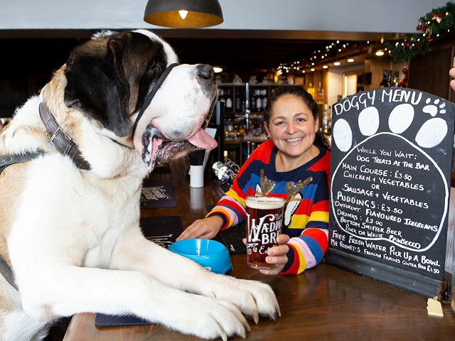В Великобритании есть "собачий паб" , в котором можно пропустить стаканчик со своим питомцем (11 фото)