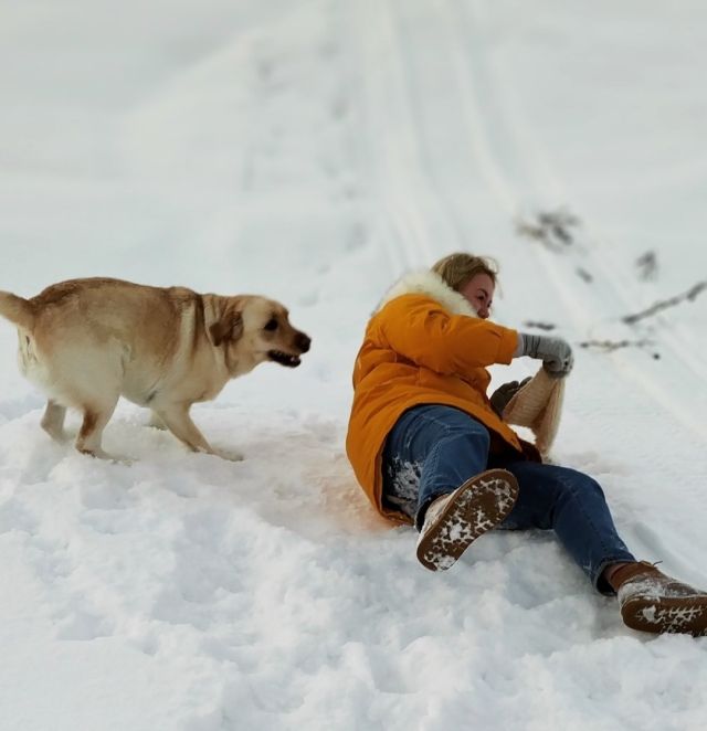 Что нужно пережить, чтобы сделать красивое, зимнее фото с собачкой (11 фото)