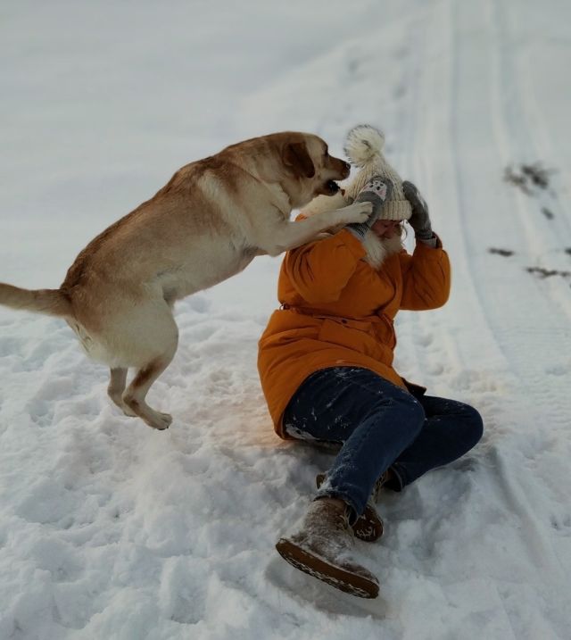Что нужно пережить, чтобы сделать красивое, зимнее фото с собачкой (11 фото)
