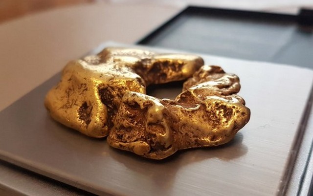 Золотоискатель нашел в реке «пончик», который у него хочет отобрать правительство (3 фото)