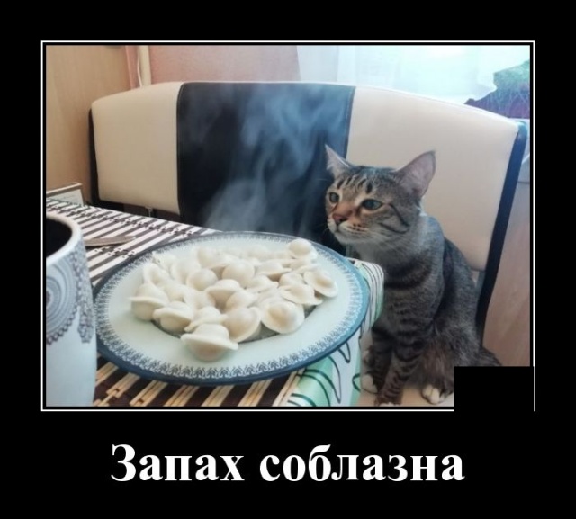 Демотиваторы (20 фото)