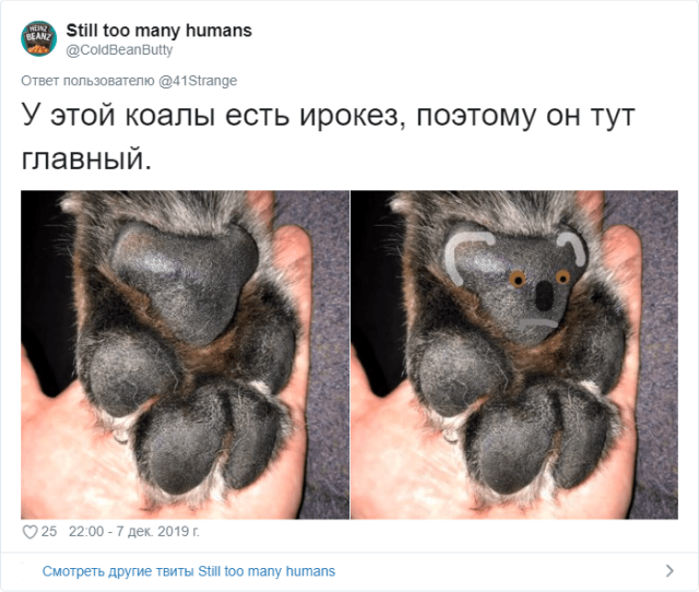 Пользователи Твиттера разгадали тайну подушечек на собачьих лапах  (11 скриншотов)