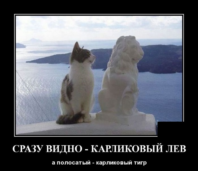 Демотиваторы (20 фото)