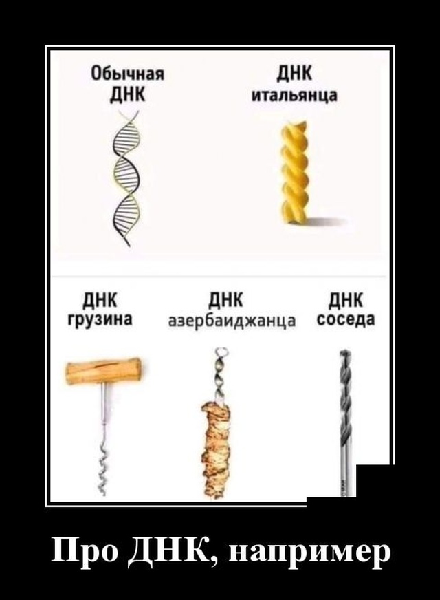 Демотиваторы (20 фото)