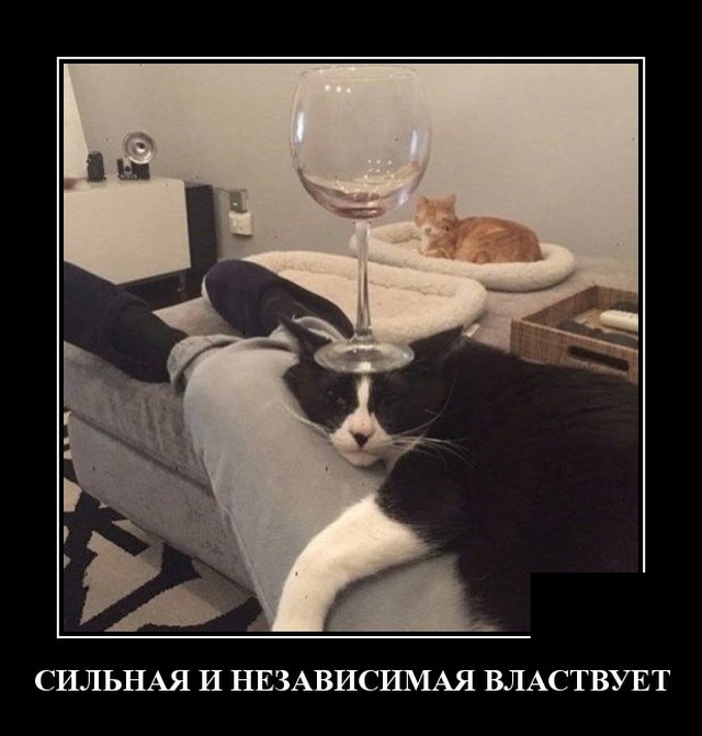 Демотиваторы (20 фото)