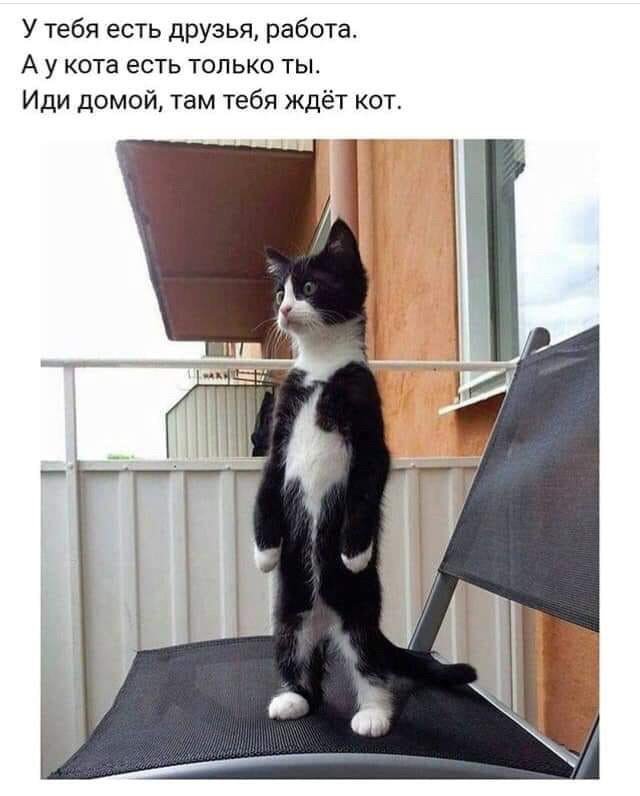 Подборка картинок. Вечерний выпуск (36 фото)