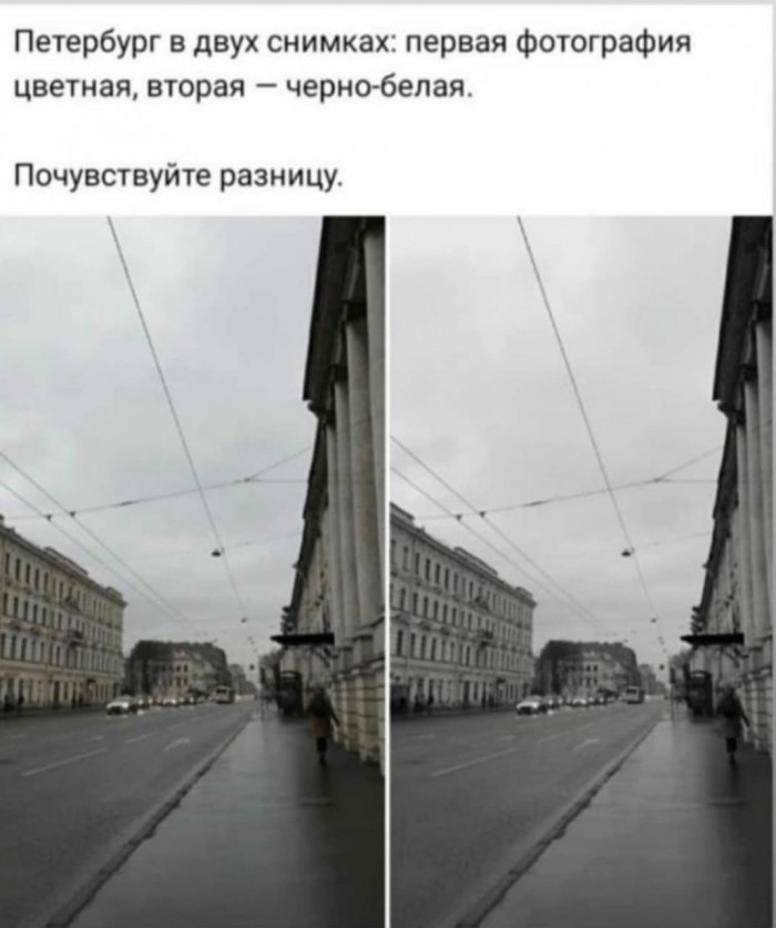 Подборка картинок. Вечерний выпуск (36 фото)