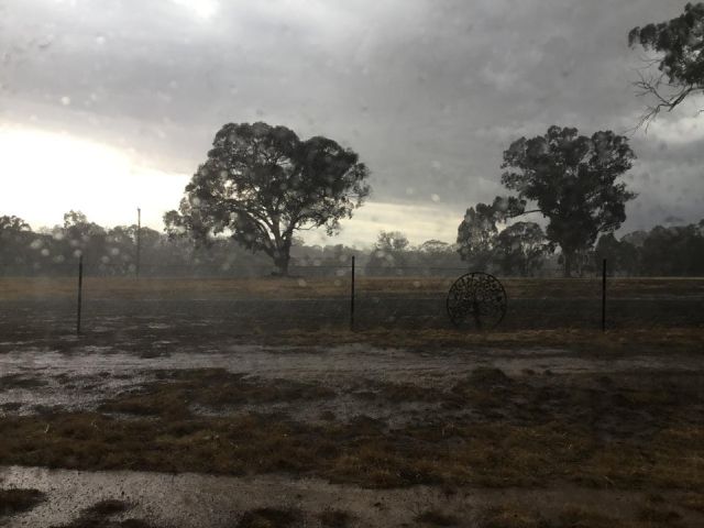 В Австралии  пошел дождь и это подарок небес: осадки потушили около 30 пожаров (7 фото + 3 видео)