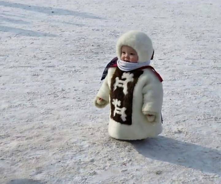 Подборка картинок. Вечерний выпуск (30 фото)