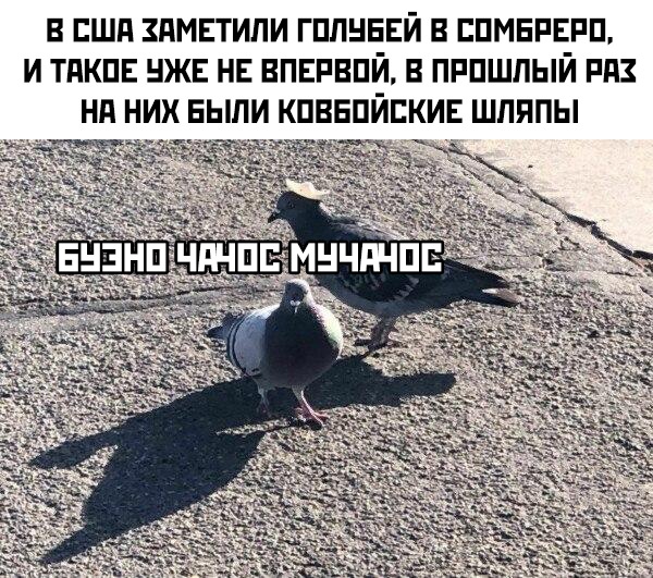 Подборка картинок. Вечерний выпуск (30 фото)