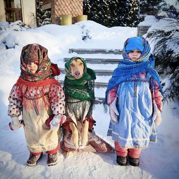 Подборка картинок. Дневной выпуск (32 фото)