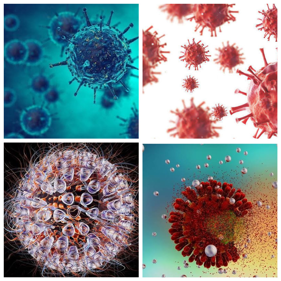 Самые опасные вирусы на планете (17 фото)