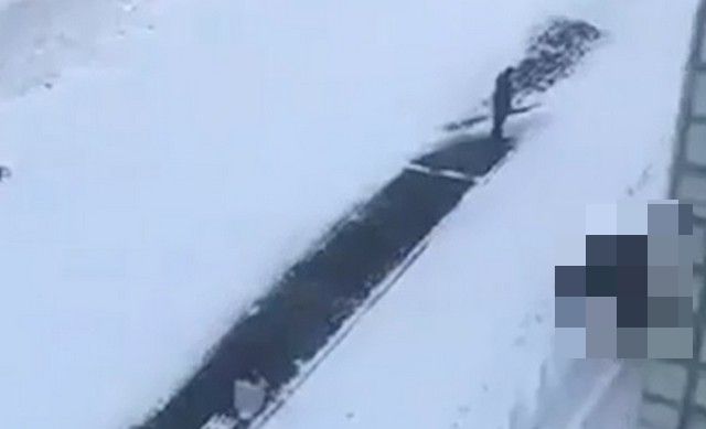 В Екатеринбурге слон искупался в снегу (2 видео)