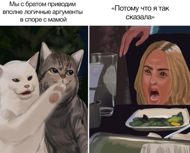 Две женщины орут на кота: лучший мем 2019 года продолжает набирать популярность (18 фото)