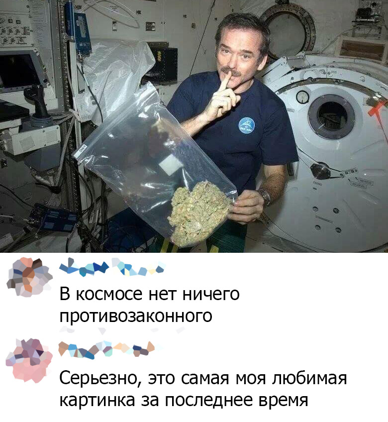 Подборка картинок. Вечерний выпуск (31 фото)