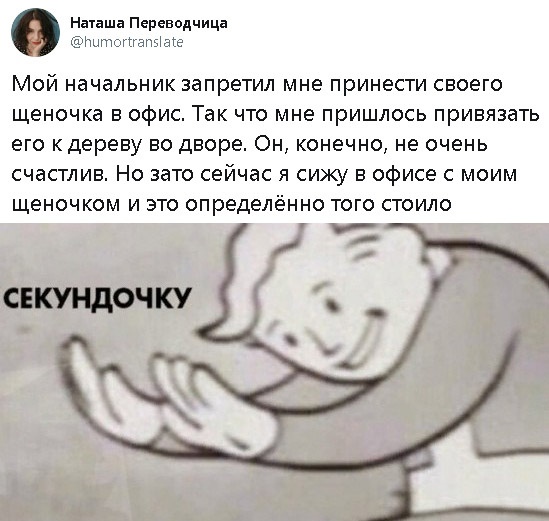 Подборка картинок. Дневной выпуск (30 фото)