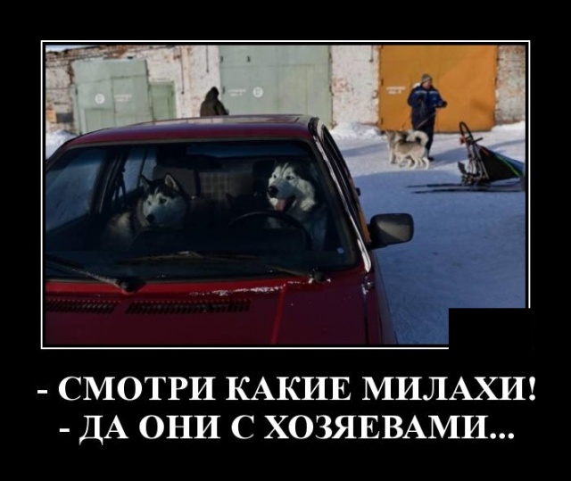 Демотиваторы (20 фото)