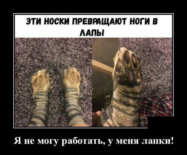 Демотиваторы (20 фото)