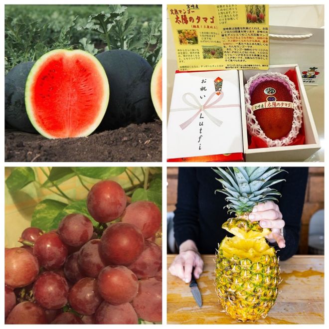 Самые дорогие фрукты в мире (7 фото)