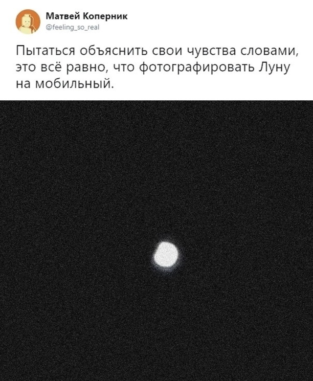 Подборка картинок. Дневной выпуск (33 фото) - 10.02.2020
