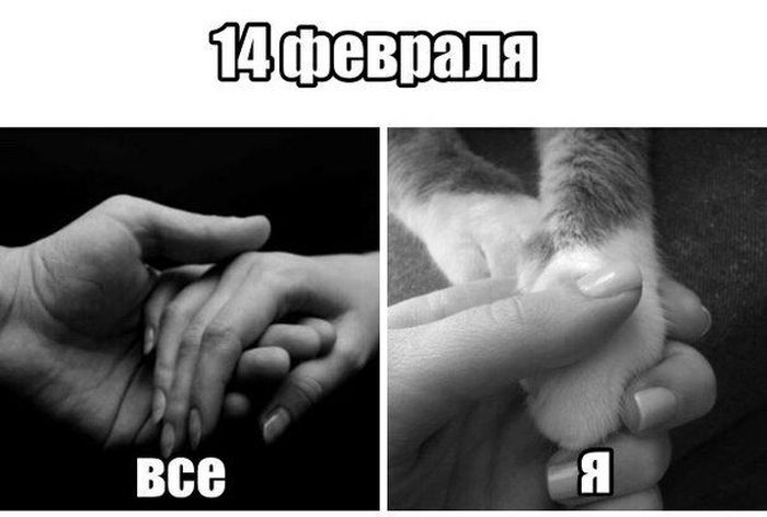 День святого Валентина 2020: немного истории и, конечно же, юмор (20 фото + 5 видео) День святого Валентина 2020: немного истории и, конечно же, юмор (20 фото + 5 видео)