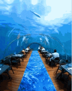 Ресторан под водой