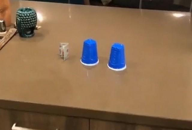 Синие пластиковые стаканчики стоят на столе